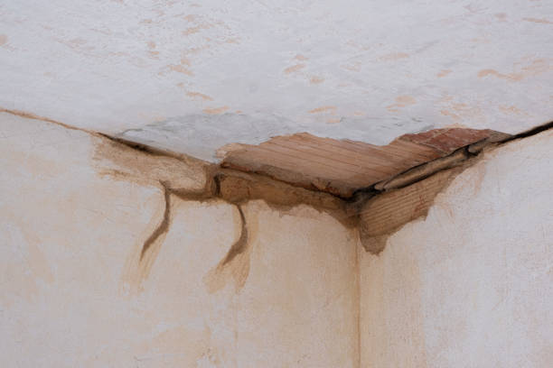 Best Carpet water damage restoration  in Boonville, MO