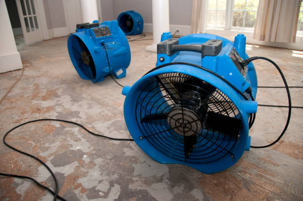 Carpet water damage restoration in Boonville, MO
