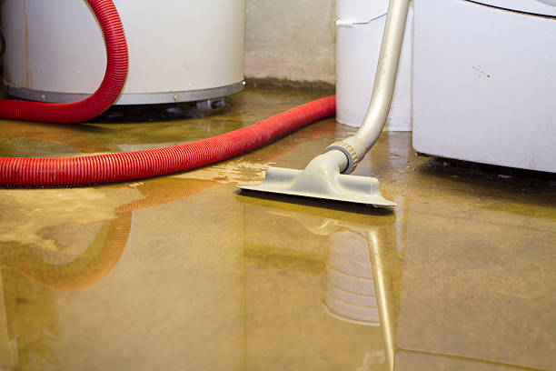 Best Water damage contractors near me  in Boonville, MO