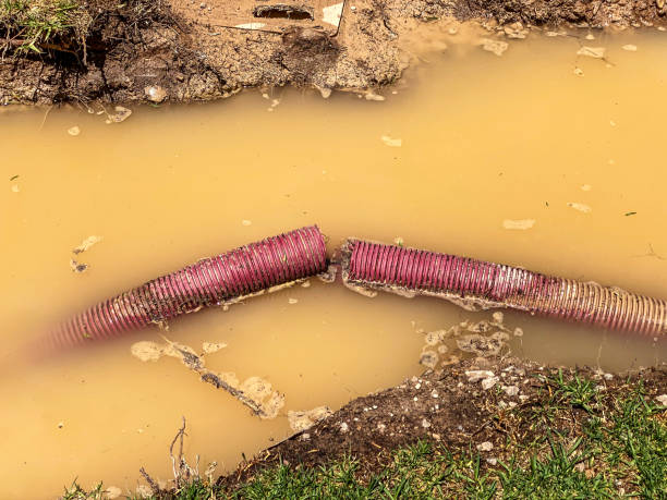 Best Professional water damage repair  in Boonville, MO